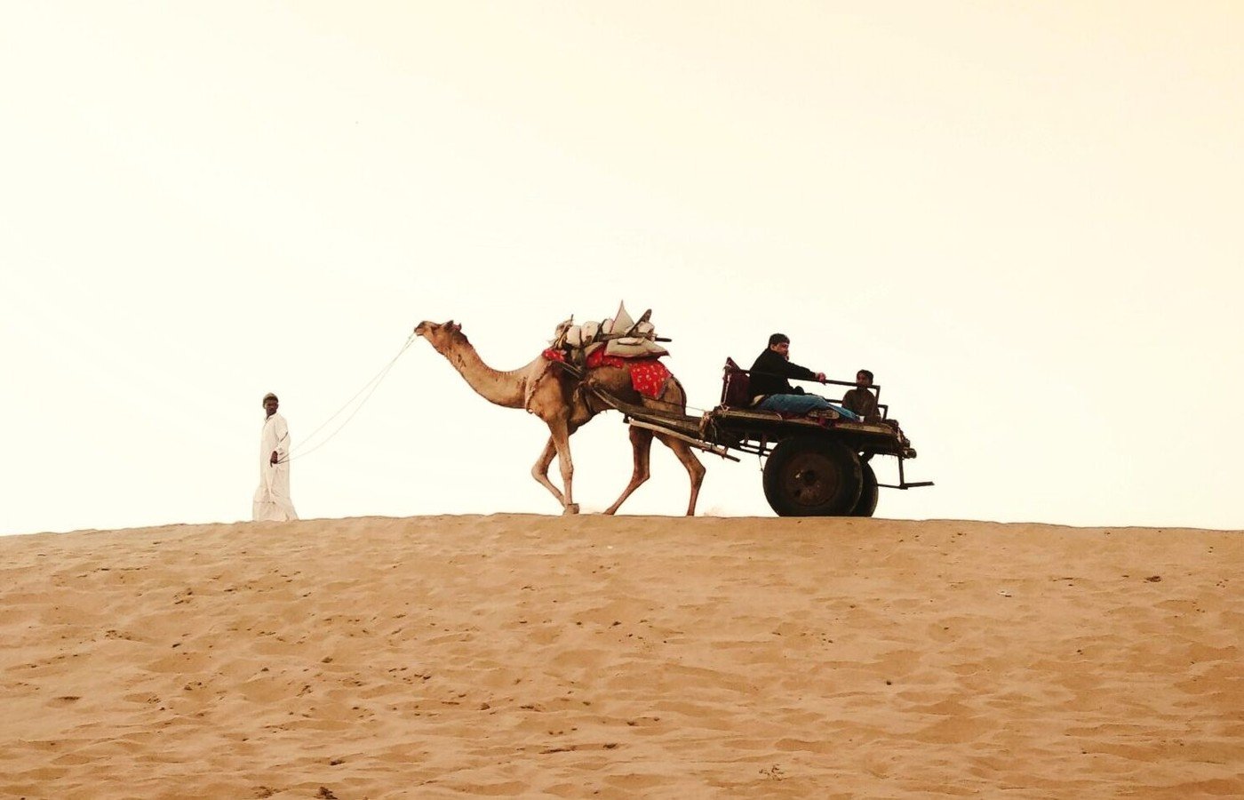 Amber Fort & Jaipur Highlights